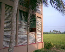 Eco-friendly