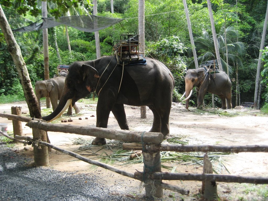 [Namuang+Waterfall+037.JPG]