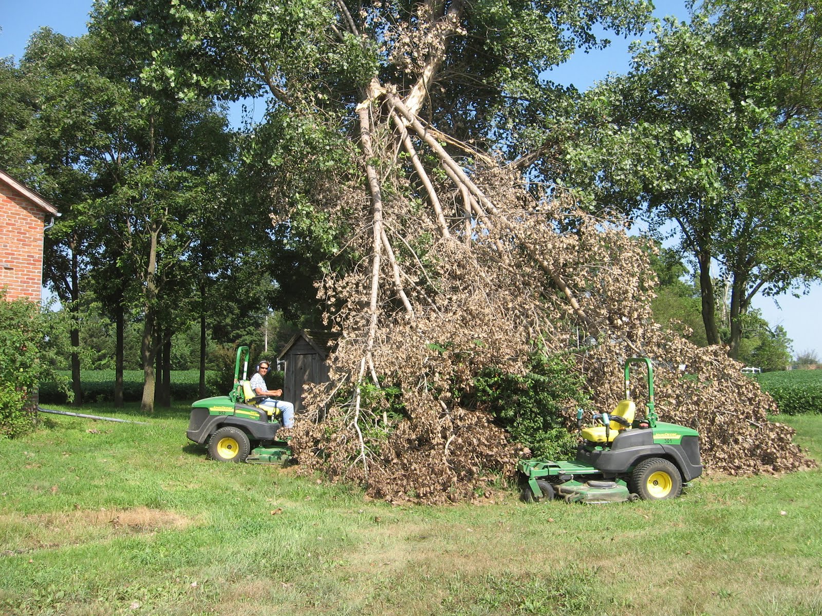 Francis' in St. More mowing and big trees
