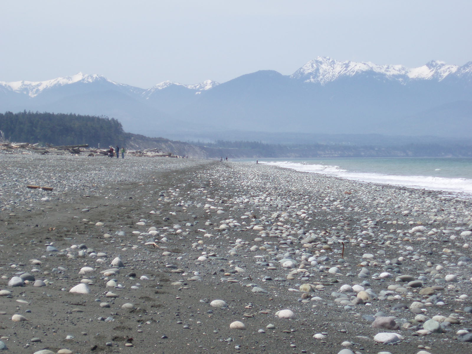 LittleBook Notes Dungeness Spit