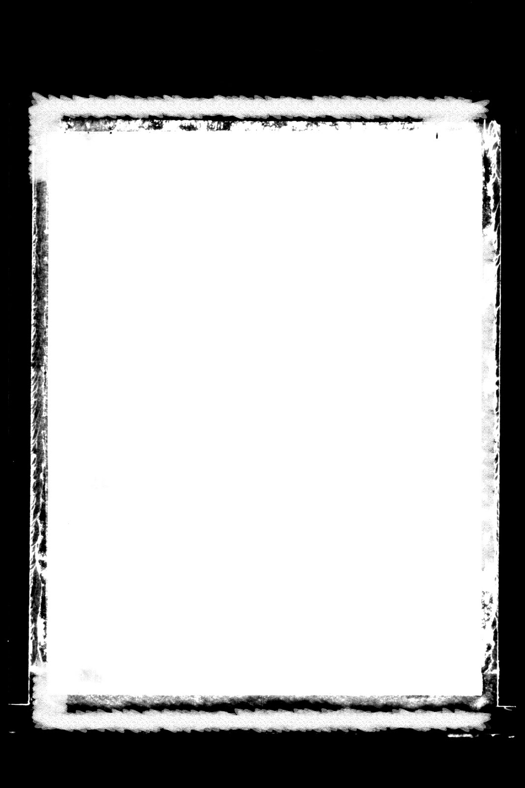 Original 6 qp 1/4” curve templates by linda hrcka set special Ted Evans Photography: Free Download: Photo Borders