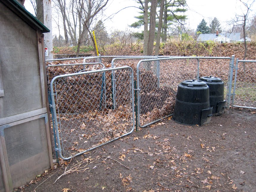 MadCityMike's Blog "The Chicken Run with Compost Bins