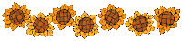 sunflowers border line image