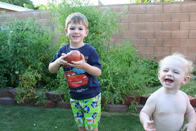 In Which I Put Forth My Strong Opinion About Something In Which I Put Forth My Strong Opinion About Something