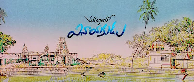 village lo vinayakudu(2009) screenshots