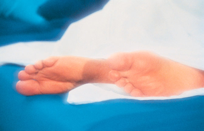 [Osho+small+size+photos+(1374).jpg]