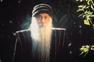 [Osho+small+size+photos+(348).jpg]