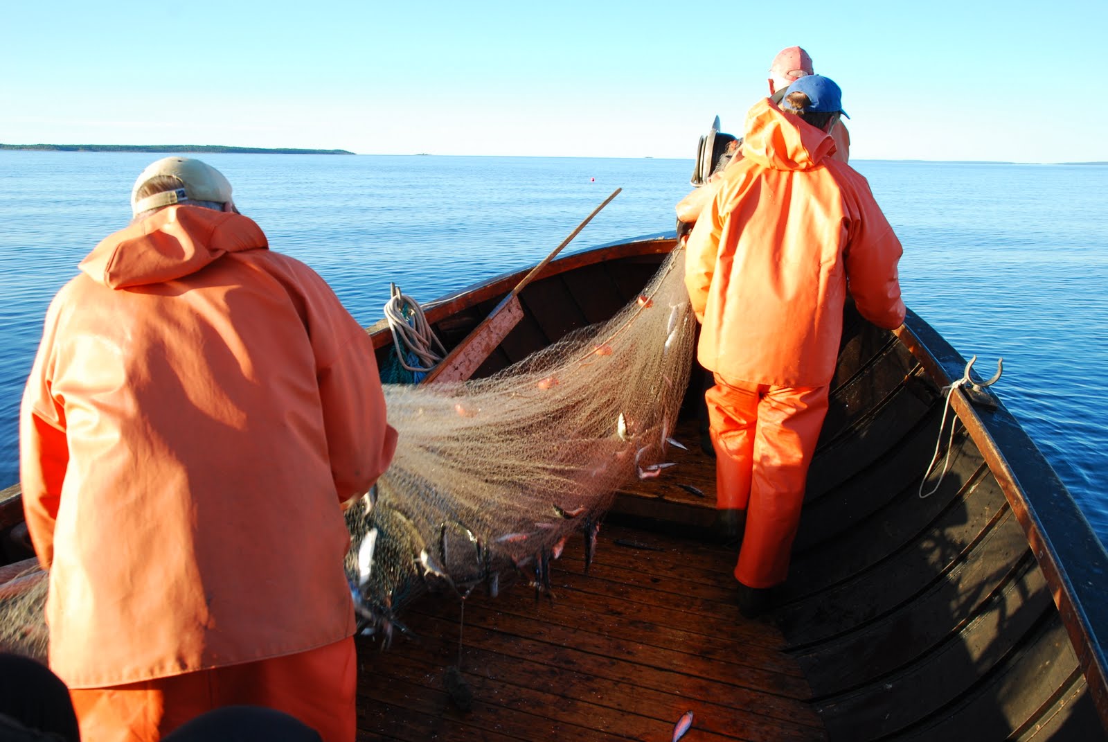 Emil Sjöbergs Jakt & Fiske: Bilder från Strömmingsfiske 2010