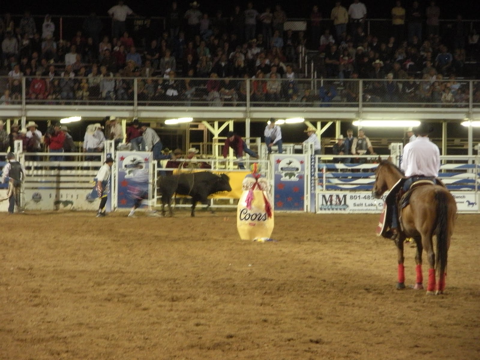 Alicia Oakley, UT July 4th, 2010 Rodeo!