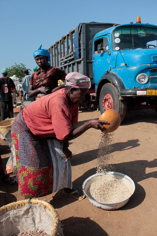 [Photo+for+Blog.jpg]