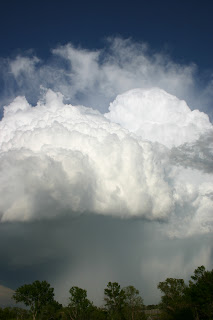 Dinochick Blogs: June 2008