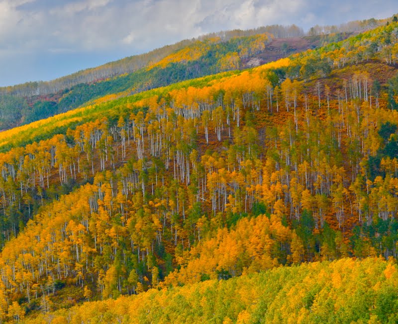 Colorado Lifestyle Scenic Drive Flat Tops Scenic Byway to Trappers Lake
