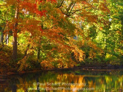[Autumn+Colors+On+Navesink+River+Road.JPG]