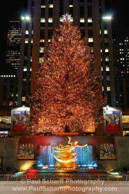 [Rockefeller+Center+Christmas+Tree.JPG]