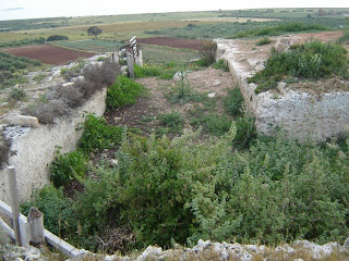 Κεφαλή σφίγγας σε βράχο κοντά σε θεμέλια αρχαίας πυραμίδας στα Βιγκλάφια Λακωνίας  