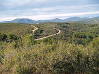 En primer terme el Turó de l'Argilaga a l'esquerra, entre les dues pistes el Turó de Cal Bord i al fons el Montagut vistos des de la Muntanya Cremada de la Font de Maiol