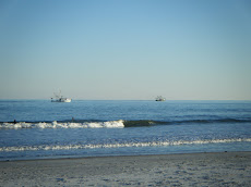 Palmetto Dunes Cam Hilton Head