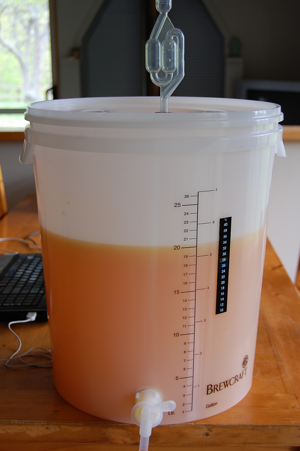 Living a Life at the Beach Home brewing Grapefruit wine