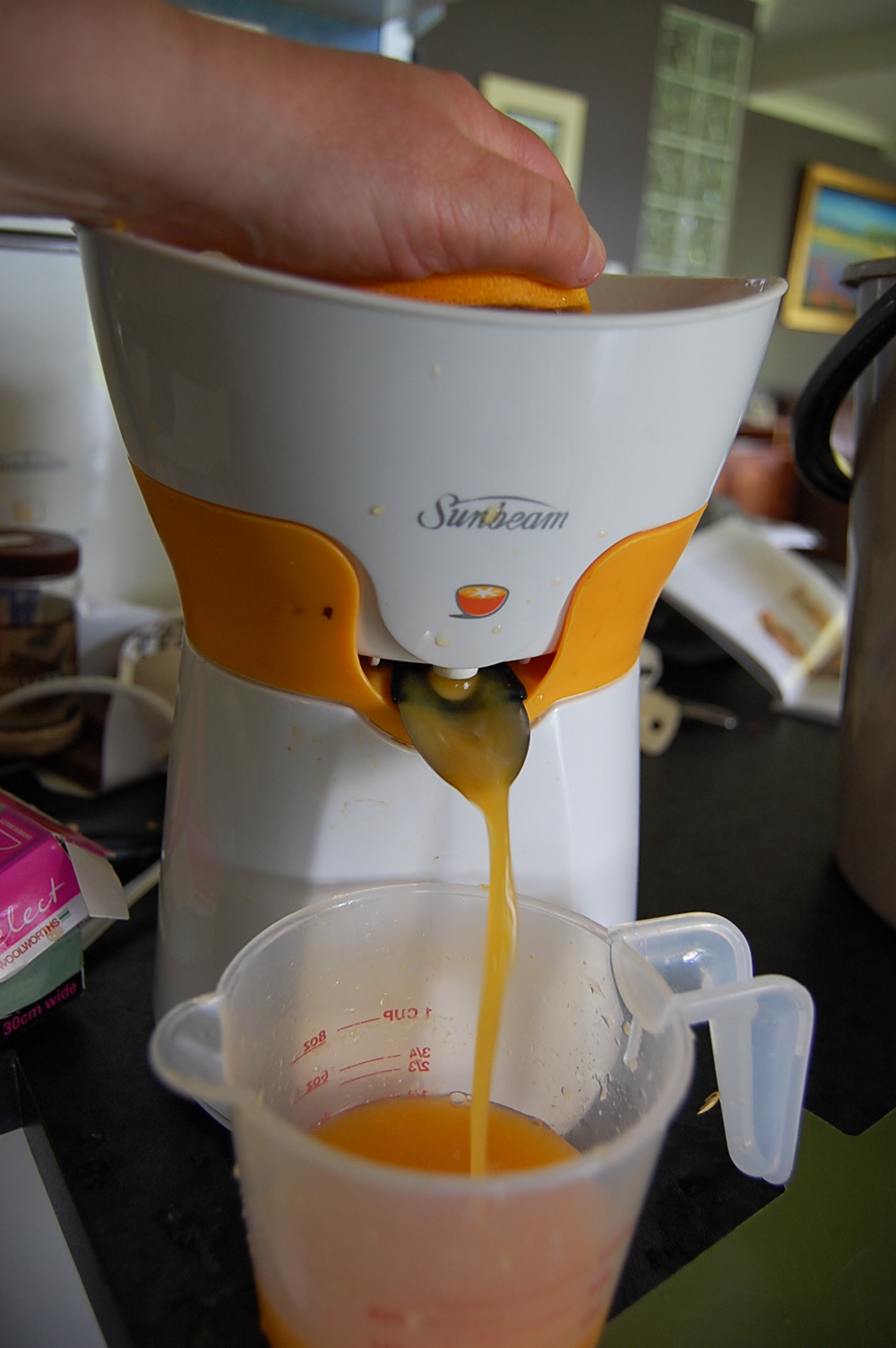 Living a Life at the Beach Home brewing Grapefruit wine