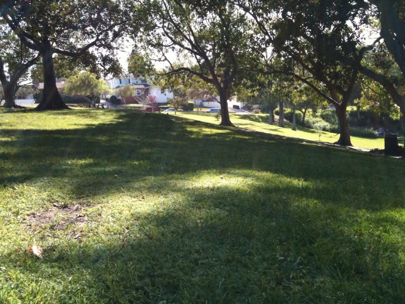 [photo-719366.jpg]