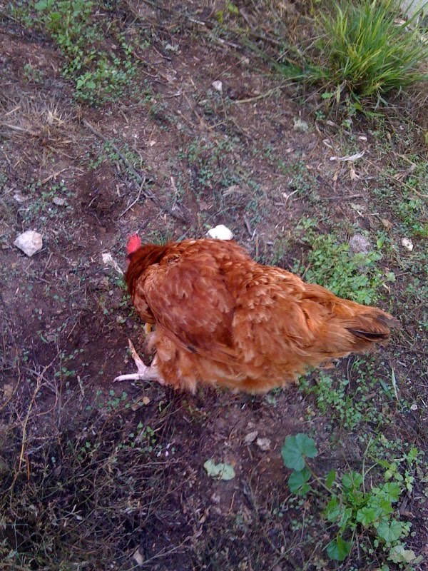 [photo+3-799881.jpg]