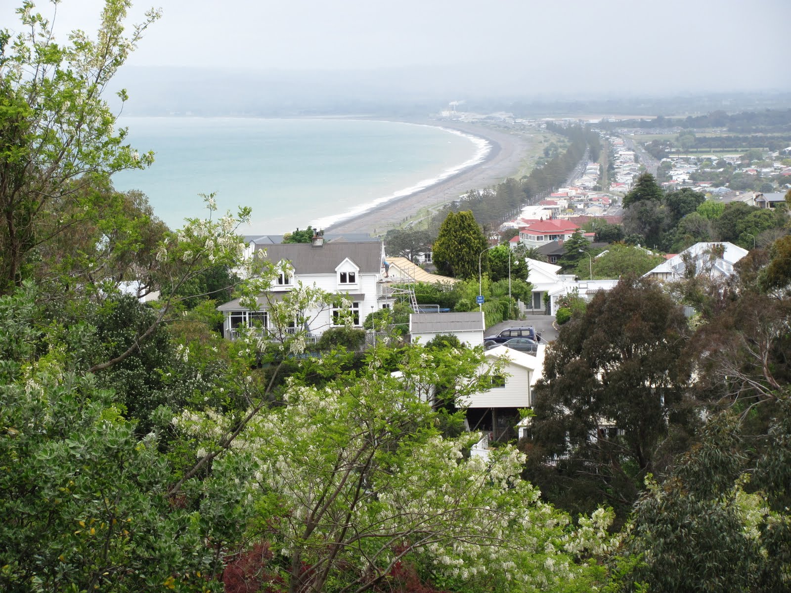 Kensells in New Zealand Hawkes Bay (from Mary's perspective)