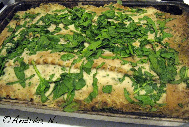 [Lasagna2.jpg]