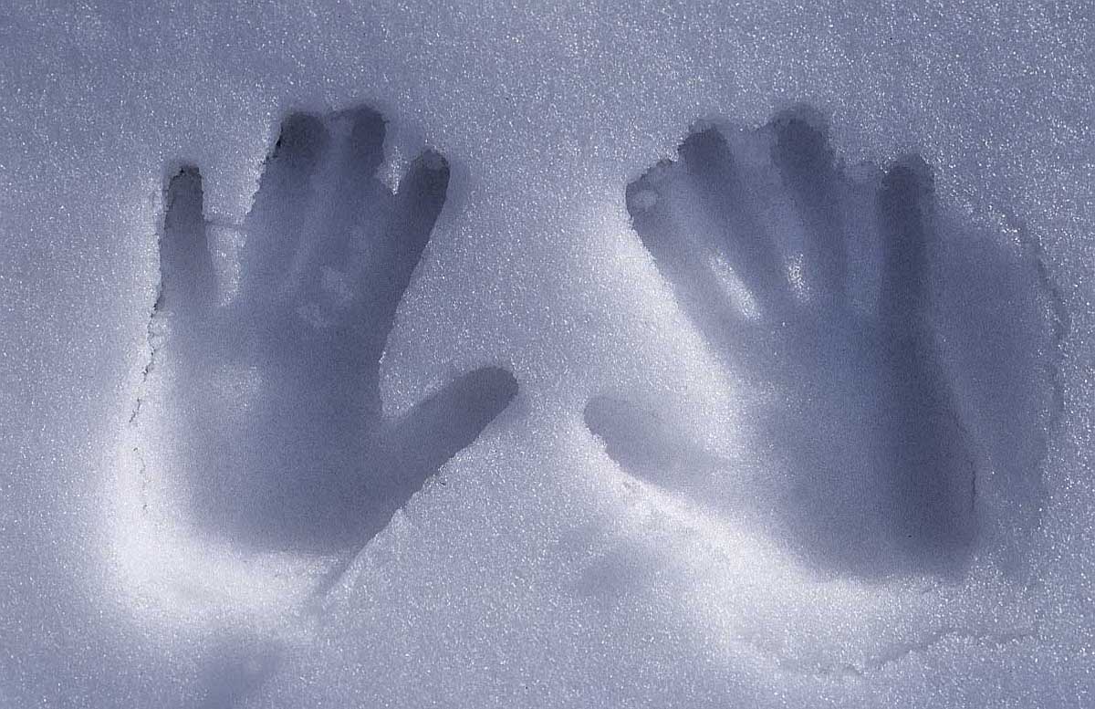 криминалистические слепки следов. черная ладонь. след рука дающего. отпечаток ладони. дорожка из отпечатков рук и ног.