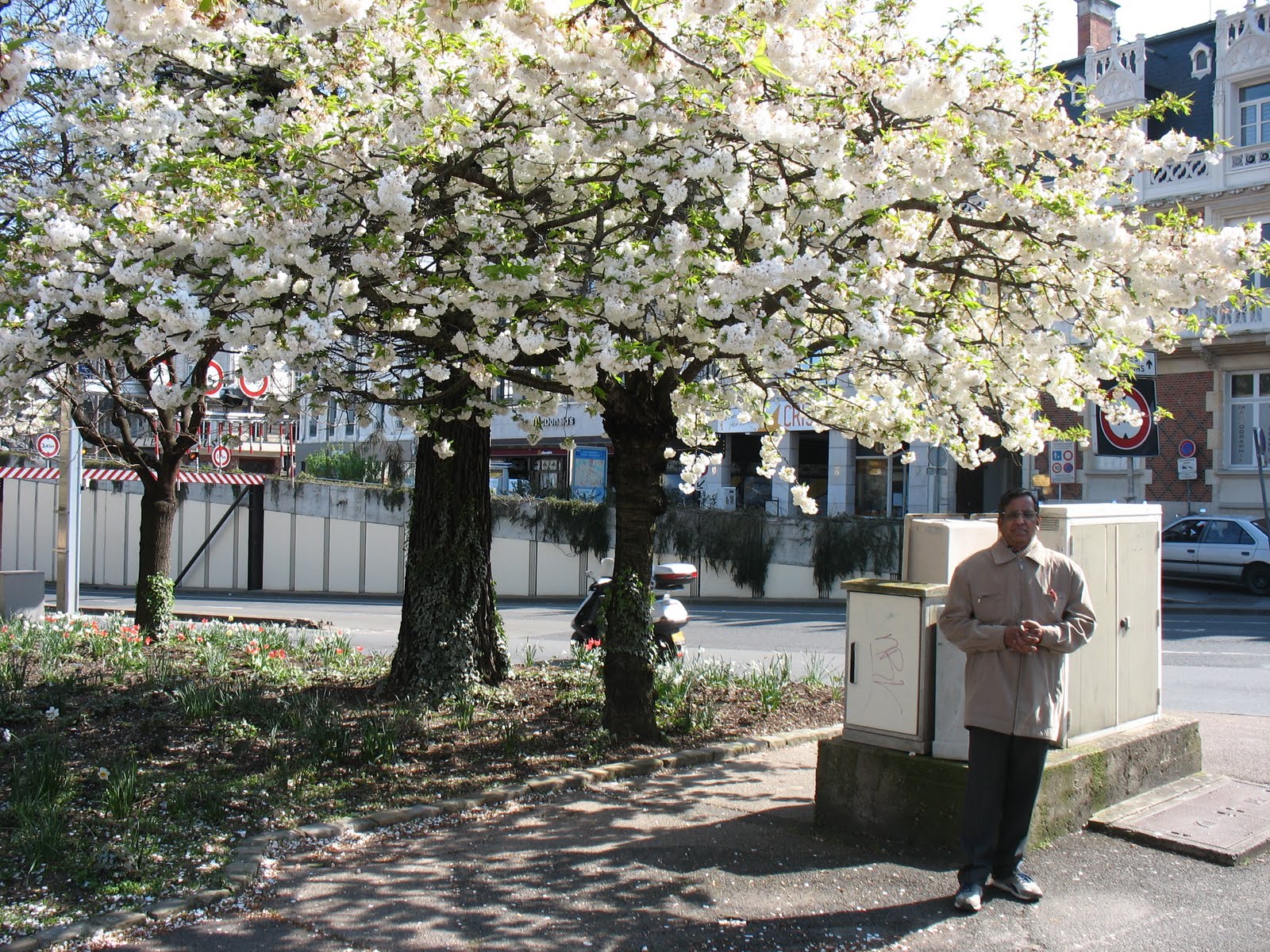 Clicks by Kln Rao and me Lovely Tree Flowers Orleans, France