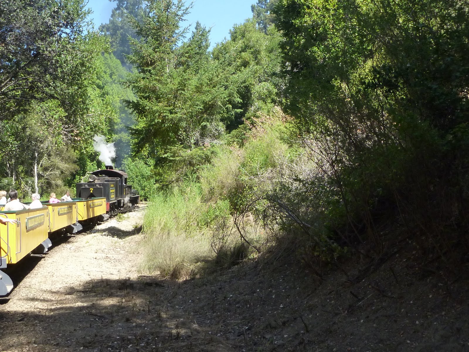 Life at 55 mph Redwood Forest Steam Train, Henry Cowell State Park