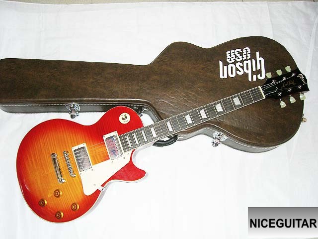 [Gibson-Les-Paul-Standard-Guitar.jpg]