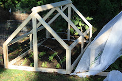 cold greenhouse frame mini garden