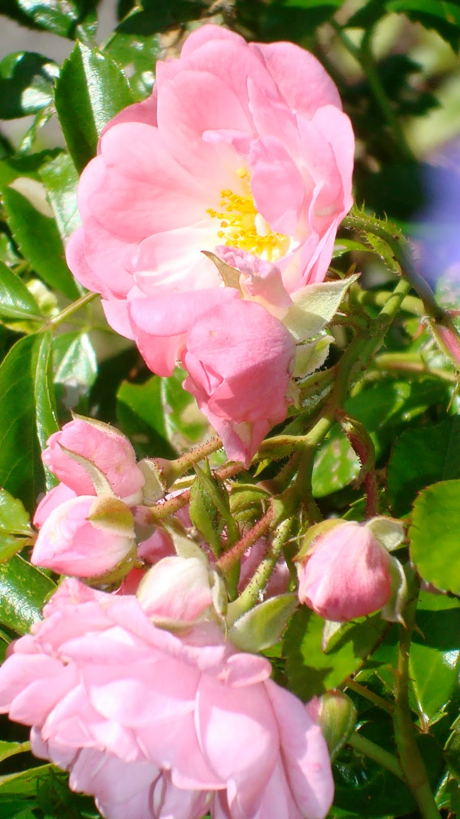 Site latino americano relacionamento