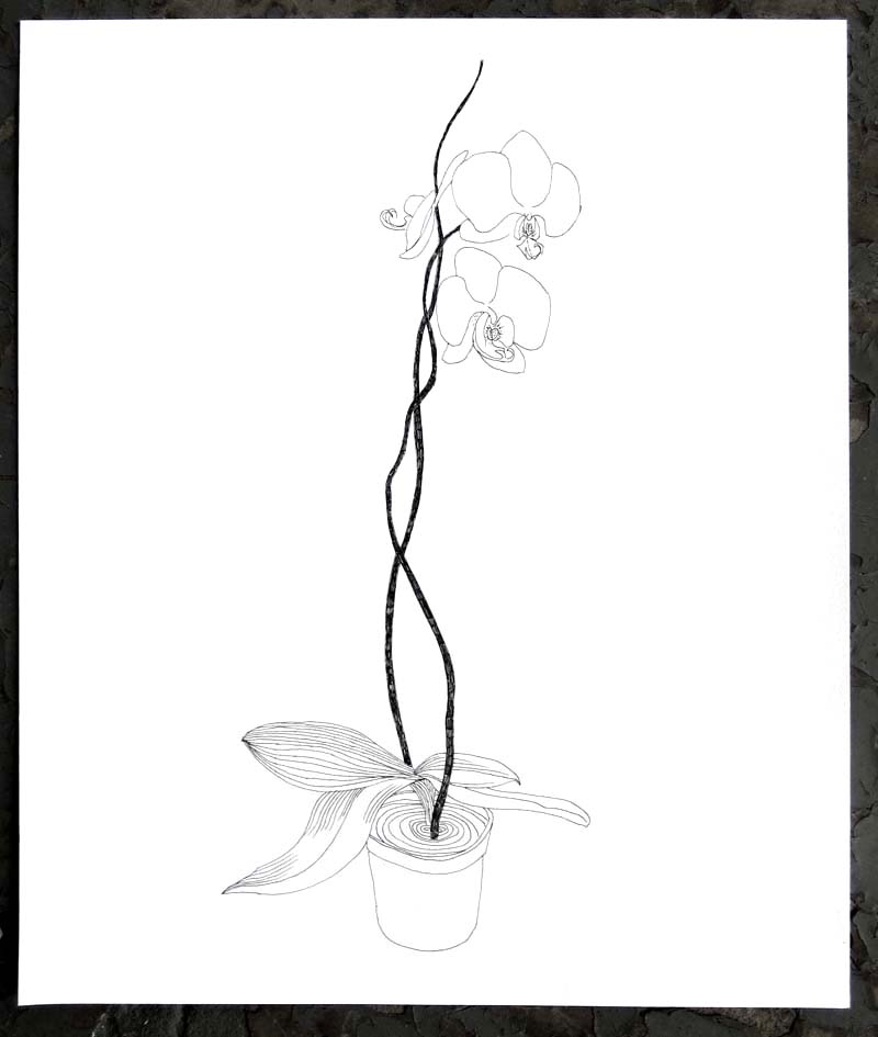 Как нарисовать экибана