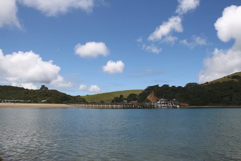 BAY OF ISLANDS - TRES SEMANAS POR NUEVA ZELANDA EN OCTUBRE DE 2008 (1)