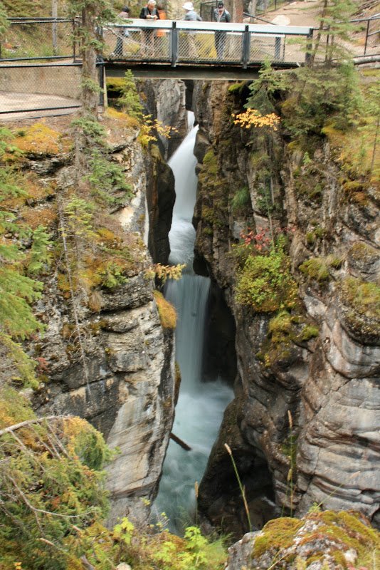 JASPER NATIONAL PARK - Recorriendo la costa oeste de Canadá y la Península Olympic en EEUU (2)