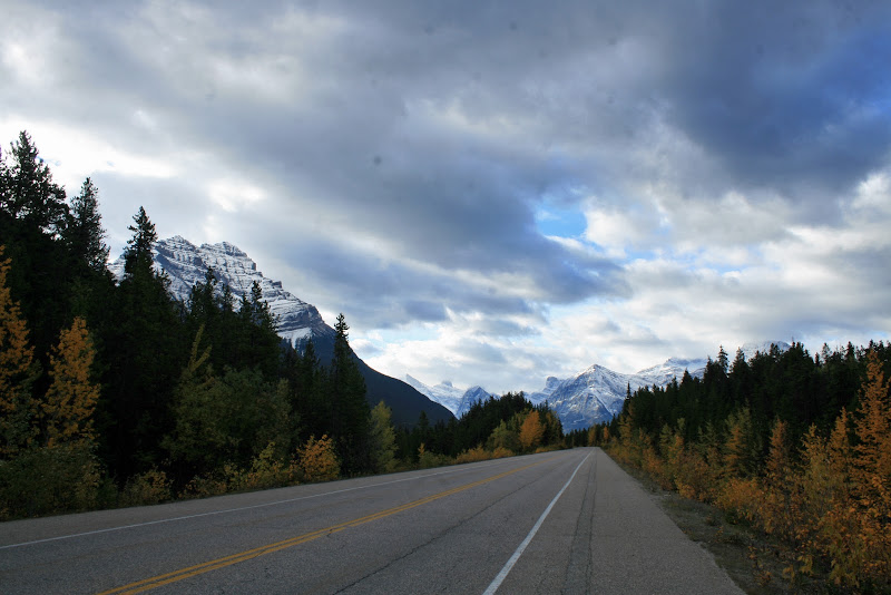 JASPER NATIONAL PARK - Recorriendo la costa oeste de Canadá y la Península Olympic en EEUU (8)