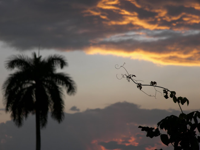 Cuban Sunset