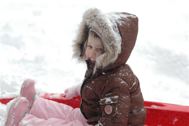 [DSC_0141+(Small).JPG]