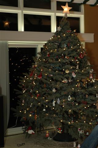 [DSC_0063+(Small).JPG]