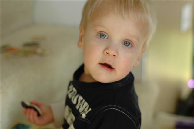 [DSC_0047+(Small).JPG]