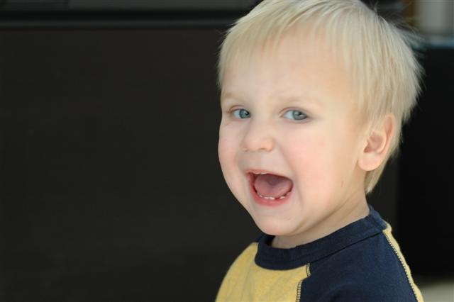 [DSC_0041+(Small).JPG]