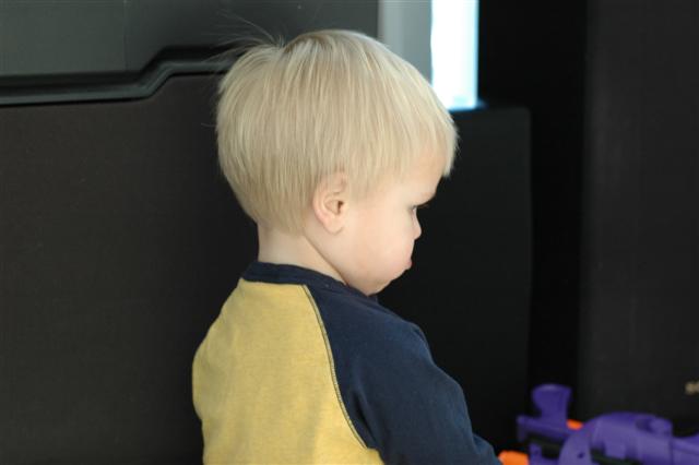 [DSC_0001+(Small).JPG]