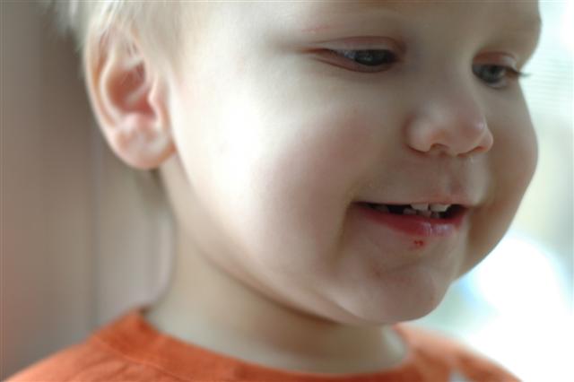 [DSC_0104+(Small).JPG]