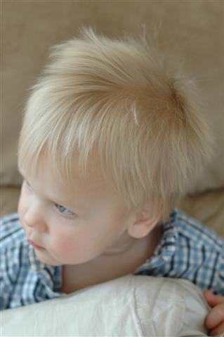 [DSC_0003+(Small).JPG]