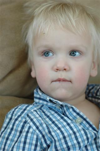 [DSC_0036+(Small).JPG]