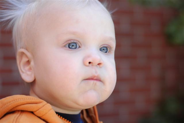 [_DSC0061+(Small).JPG]