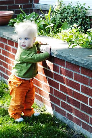 [_DSC0058+(Small).jpg]