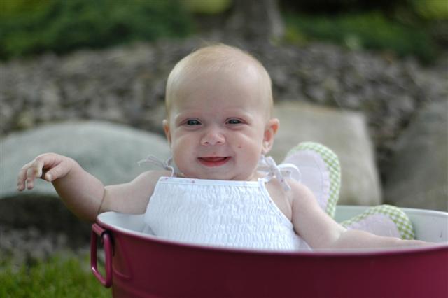 [_DSC0037+(Small).JPG]