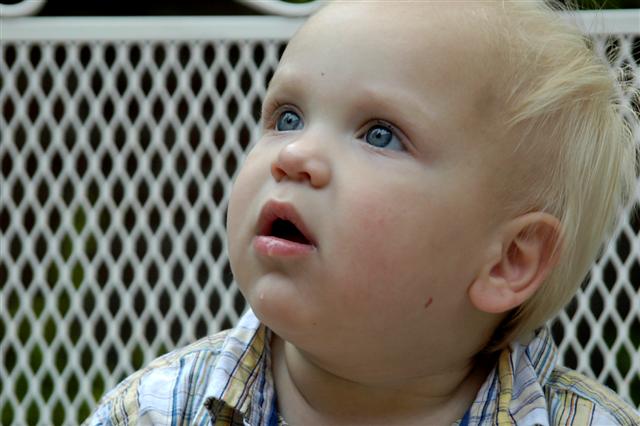 [_DSC0046+(Small).jpg]